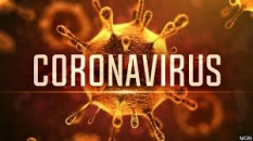 El coronavirus paraliza gran parte de la actividad econmica en Espaa